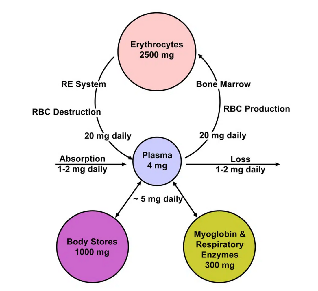 Iron supplementation doesn't need to be be a pain in the ass